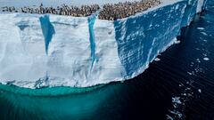 Las mejores fotos del año de National Geographic