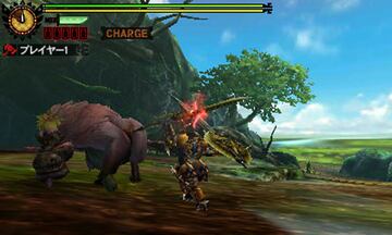 Captura de pantalla - Monster Hunter 4 (3DS)