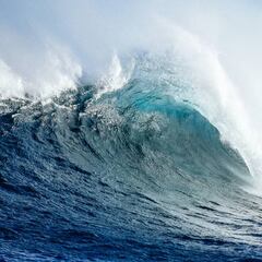 John John Florence y Lakey Peterson ganan entre tiburones y delfines en Margaret River