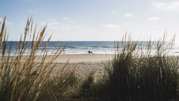 Se pone a buscar dientes de tiburón en la playa y encuentra un artefacto de hace 12.000 años: “Un hallazgo inolvidable”
