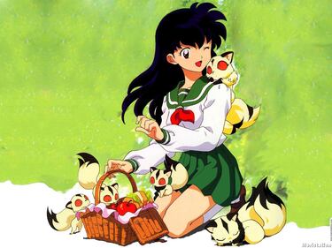 Inu Yasha: Feudal Combat, Impresiones