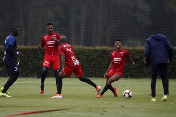 Medellín se alista para su debut en la Copa Libertadores de América. Enfrentará a Táchira este martes 4 de febrero a partir de las 7:30 p.m. en el Atanasio Girardot.