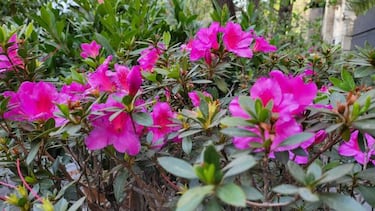 Galaxy Z Fold2 5G, análisis del mejor smartphone flexible al momento