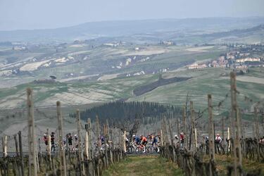 El pelotón durante la carrera.