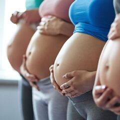 Plan mil días ANSES: en qué consiste en plan y quiénes serán los beneficiarios