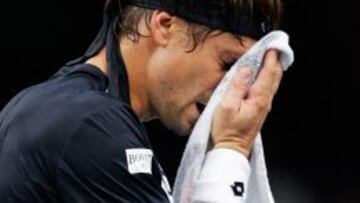 David Ferrer, tras caer con Nishikori en París.