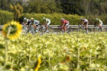 El pelotón durante la decimotercera etapa de la Vuelta Ciclista a España 2014, que ha transcurrido entre Belorado (Burgos) y el Parque de Cabárceno (Cantabria) con un recorrido de 188,7 kilómetros.