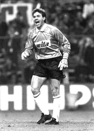Desarrollo la mayor parte de su carrera profesional como portero del Atlético de Madrid durante 9 temporadas hasta que en 1995 fichó por el Rayo Vallecano.
