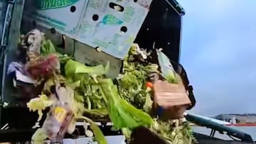 Cuenta cómo son las verduras que se venden en los supermercados de Japón: “Eso explica por qué son carísimas”