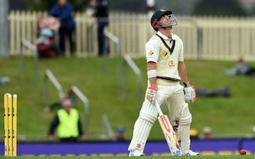 Warner reacts after his dismissal at the hands of Abbott.