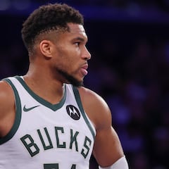 One set of fans excited after recent Giannis update
