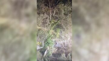 El ciclista colombiano sufrió una fractura de clavícula tras perder el control de su bicicleta en una curva durante la competencia, lo que ha generado preocupación entre sus seguidores.