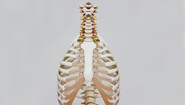 Vitamina K2: qué es y para qué sirve en la salud ósea y cardiovascular