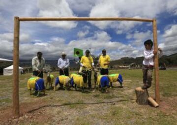 Las ovejas van al Mundial