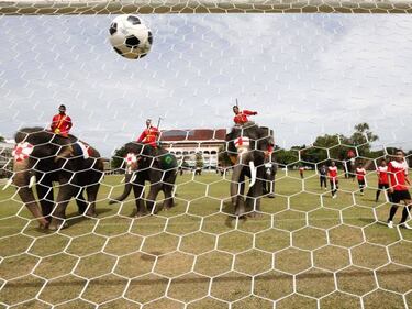 Elephants kick-off World Cup fever in Thailand