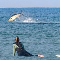 Aparición estelar de un atún rojo en un evento de chicas surfistas