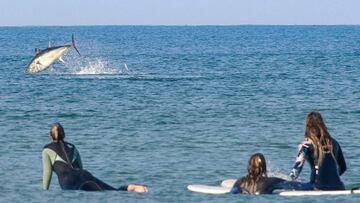 Un at&uacute;n rojo gigante salta ante un grupo de chicas surfistas que se lo miran en Watergate Bay, Cornwall (Inglaterra, Reino Unido), en octubre del 2020, durante un surf clinic de longboard de Surf Sistas. 