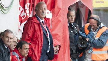 Del Bosque, en el partido ante Bosnia.