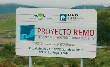 Proyecto REMO