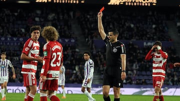 Momento en que Hormigo fue expulsado.