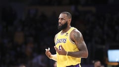 LeBron James says he doesn't know what Lakers can be