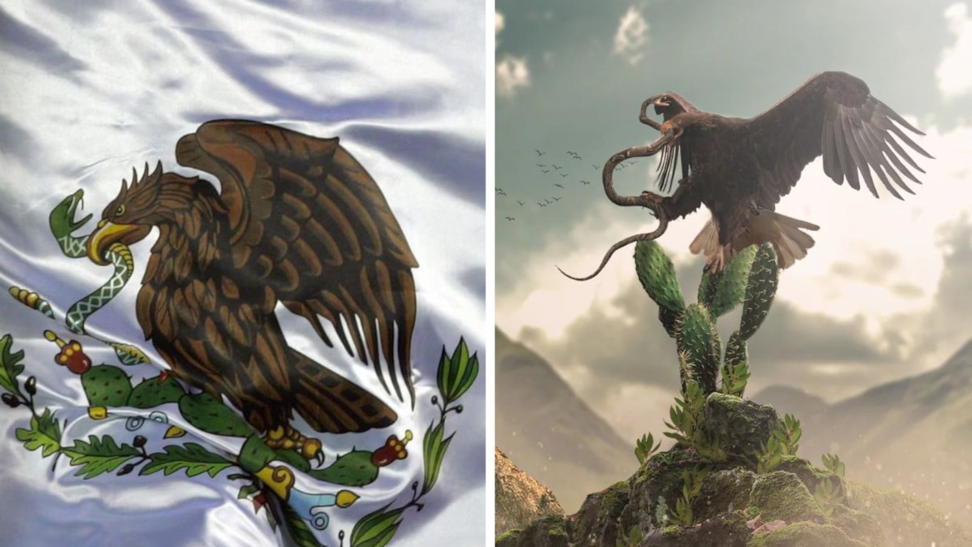 El sorprendente significado de los colores de la Bandera de México y el ...