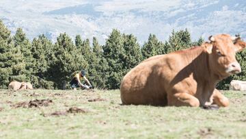 Bicicletas, chispas e incendios