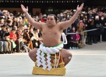 Los dos luchadores que compiten bajo los nombres de Yokozuna Kakuryu y Harumafuji son originarios de Mongolia. La ceremonia de ingreso al ring en la que se hace una ofrenda a los dioses sintoístas dura dos minutos.