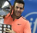 Del Potro gana un torneo ATP tres años después