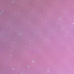 El ‘team Ona’, su respaldo en 12 años de éxitos