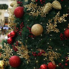 Bono COVID Navidad: cuándo comenzará y acabará el pago