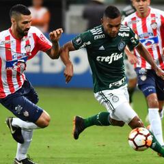 Palmeiras - Junior en vivo: Copa Libertadores 2018, última fecha