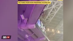 Cat-astrophe at Miami football game