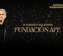 La VI Subasta Solidaria de la Fundación AFE recauda 7.880 euros a favor de la Fundación Xana