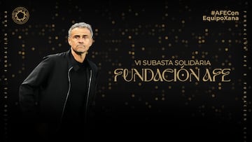 Subasta solidaria de AFE.