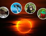 Eclipse Solar 2023: ¿cuál es la reacción y cómo afecta al comportamiento de aves, delfines o chimpancés?