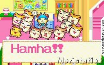 Captura de pantalla - hamtaro08.jpg