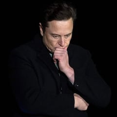 15 de los 23 monos con los implantes de Neuralink de Elon Musk han muerto