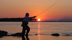Cuarentena en Argentina: cómo obtener el permiso de pesca en aislamiento
