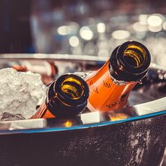 Revelan los daños del alcohol en el cuerpo más allá de la resaca