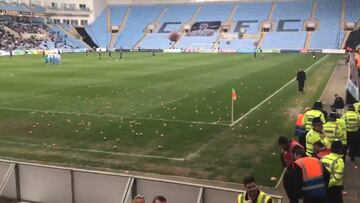 La protesta más original: ¡invasión de cerditos de goma!