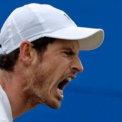 Andy Murray: Scot sees off Marin Cilic to advance to Queen's final