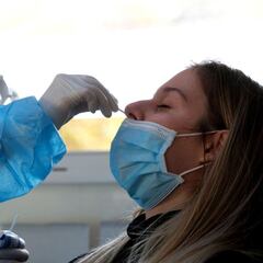 Raquel Yotti: "No hay pruebas que aseguren que la cepa del virus venga de España"