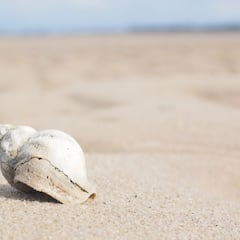 Un instrumento de hace 18.000 años es tocado por primera vez