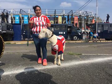 La afición puso el color al Azteca en el Clásico Nacional