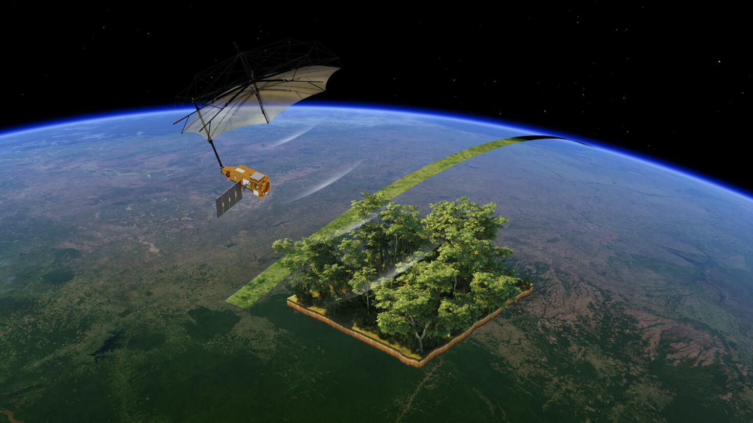 Biomass peering into Earth’s forests to unlock their secrets