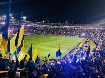 Tigres tiene una marca de:
6 victorias
5 empates 
1 derrota

En los últimos doce partidos de liga regular