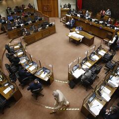 IFE Universal, Laboral y Cuarto Retiro AFP | Noticias, montos y fechas de pago | 14 de noviembre