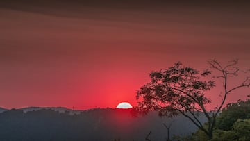 ¿Cuándo es el solsticio de invierno este año y en qué se diferencia con el resto de días?