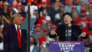 Elon Musk could be set to reap large rewards from a second Trump term but he could face conflicts of interest if he joins the administration.